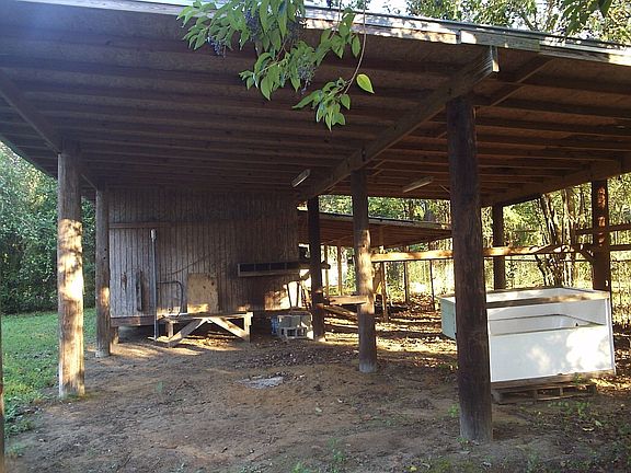 under the huge shed