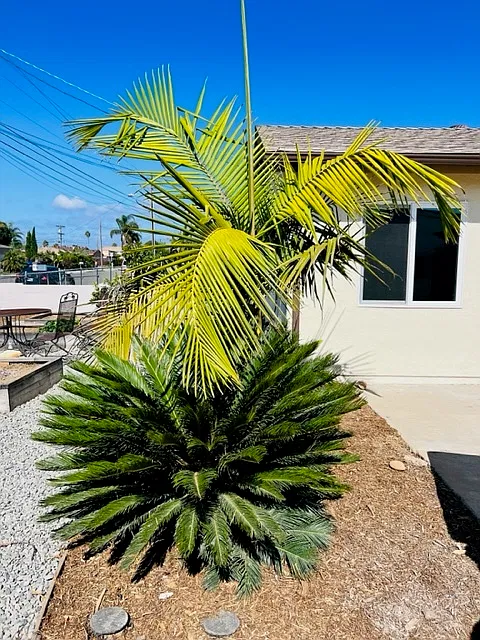 1222 Holly Street - 3 — Photo 4