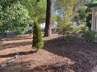 6057A Morella Ave — Photo 7