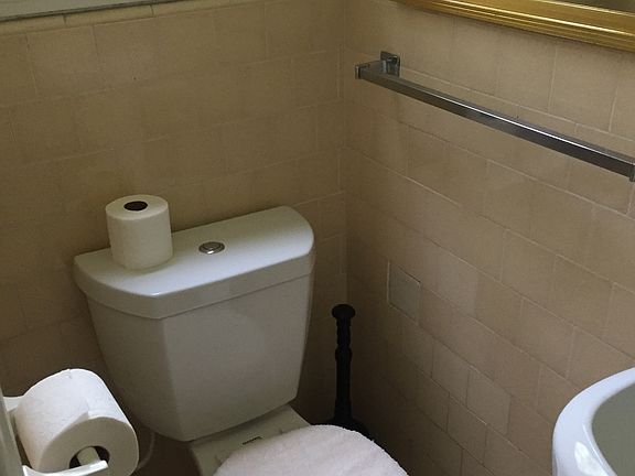 bathroom with a window. Tenants have seen deer outside window.