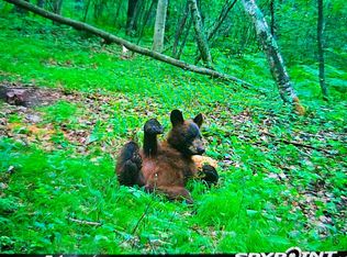 Oak Point Rd NW, Cass Lake, MN 56633