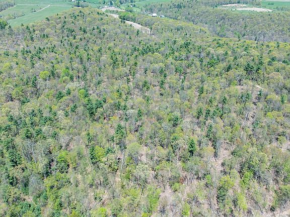 4th image of LOT 1 Patton Hill Rd