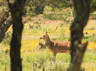 Mitchell Ln, Rocksprings, TX 78880