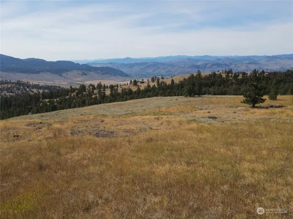 0 LOT 49 Canam Road #49, Oroville, WA 98844