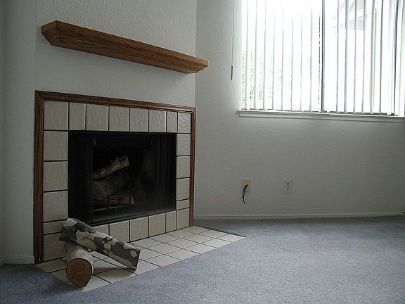 Wood burning fireplace