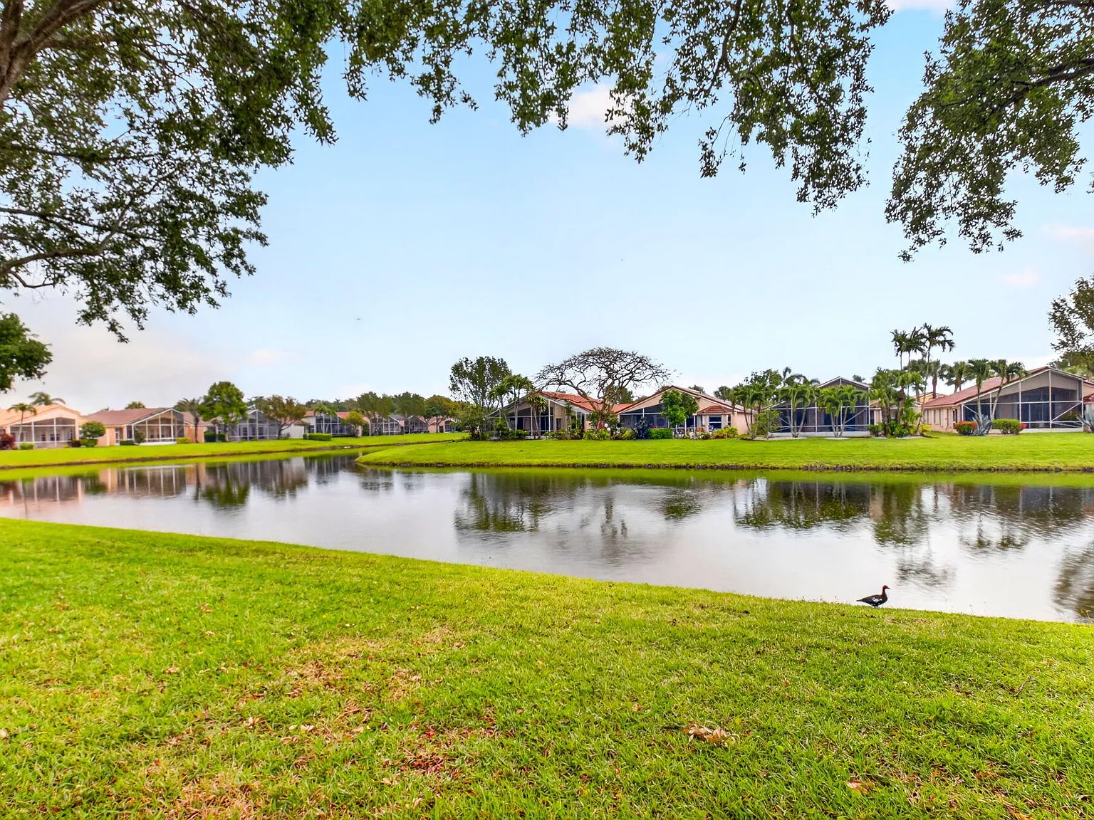 3 bed, 2.0 bath, 2015 sqft, $5,000 — Photo 4
