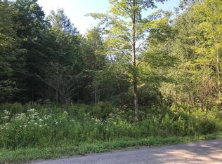 204 Perry Rd, Nineveh, NY 13813