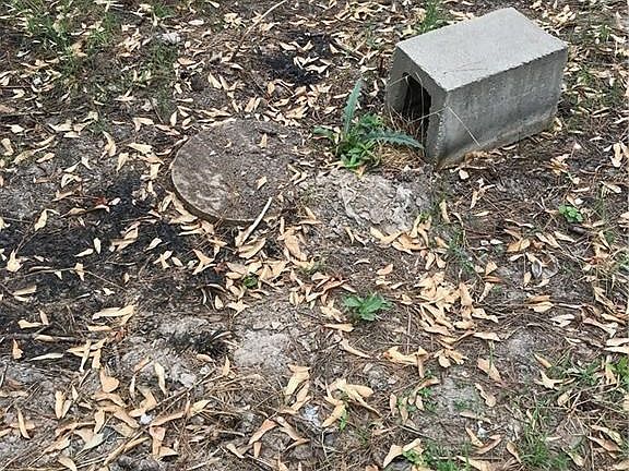 4th image of 6419 Thistle Ln
