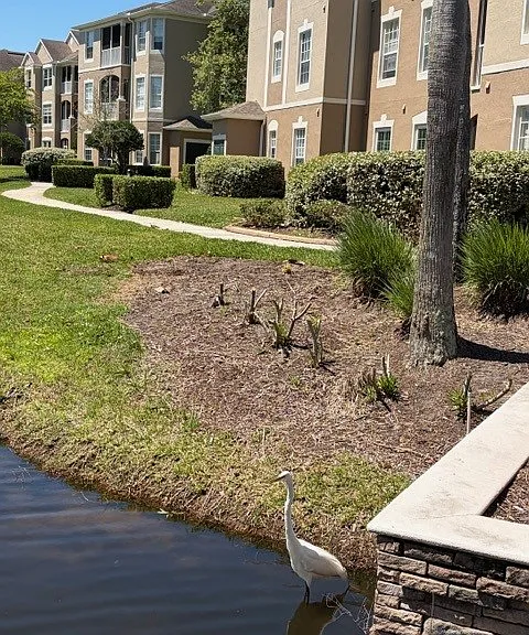7990 Baymeadows Rd E #1111 — Photo 16