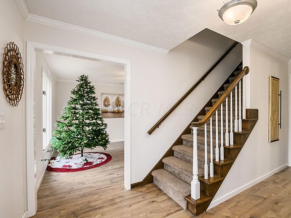 4th image of 157 Marlene Dr