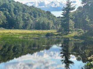 Graham Rd #34, Harrisville, NY 13648