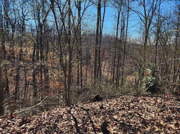 LOT 1 Acorn Ave NW, Cullman, AL 35058