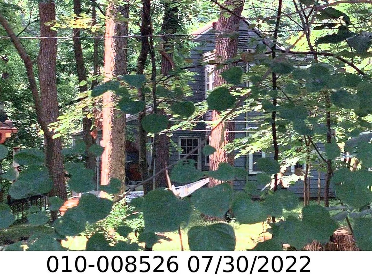 344 Walhalla Rd photo 1