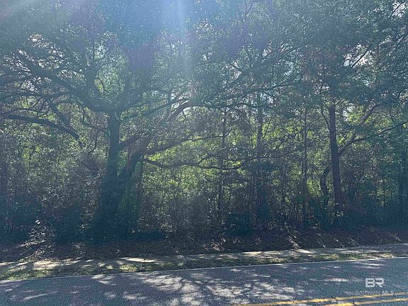 2nd image of Pinehill Rd #181