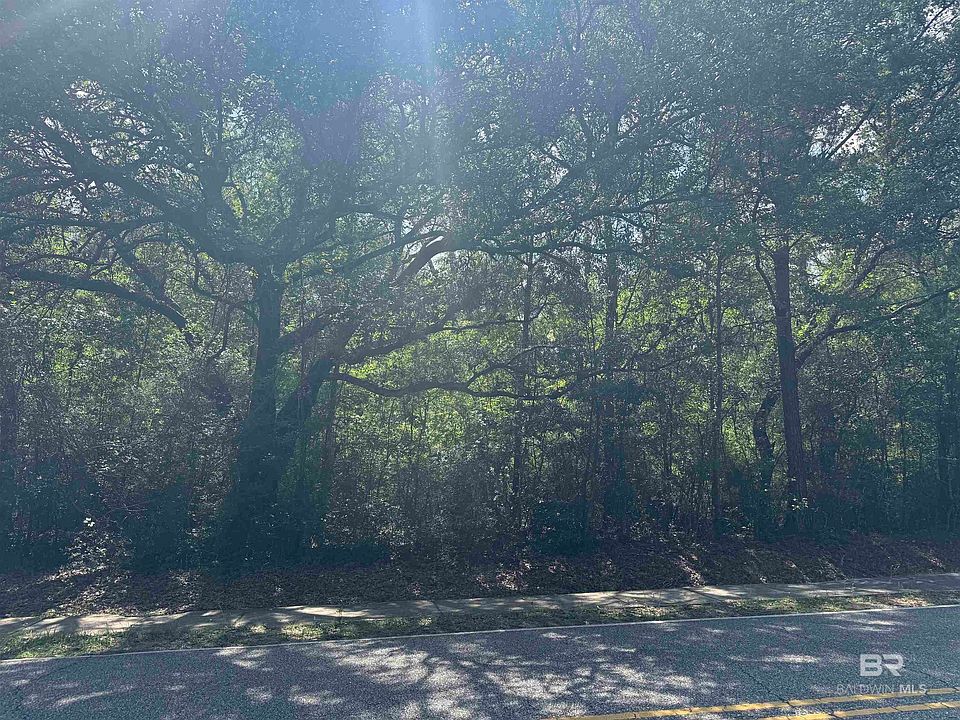 2nd image of Pinehill Rd #181