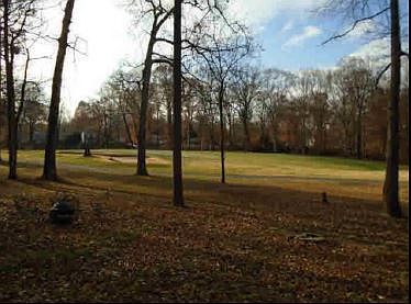 View From Rear Patio 