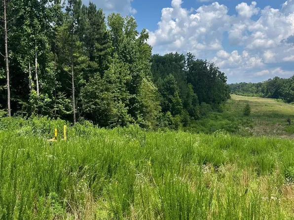 524 N Ingleside Farm Rd, Iron Station, NC 28080