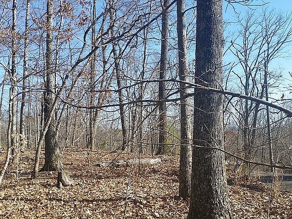 4th image of 1409 Echota Ln