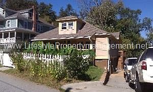 The Elephant Ears in Bloom