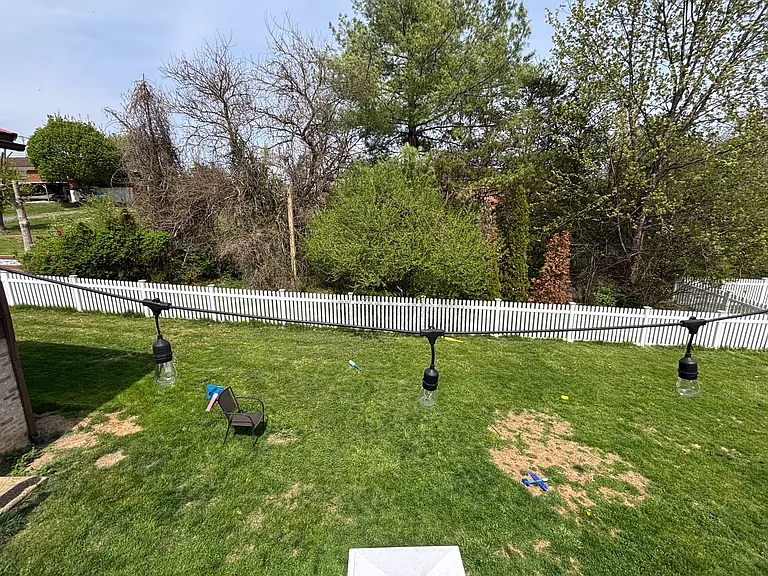 82 Rex Rd — Photo 22