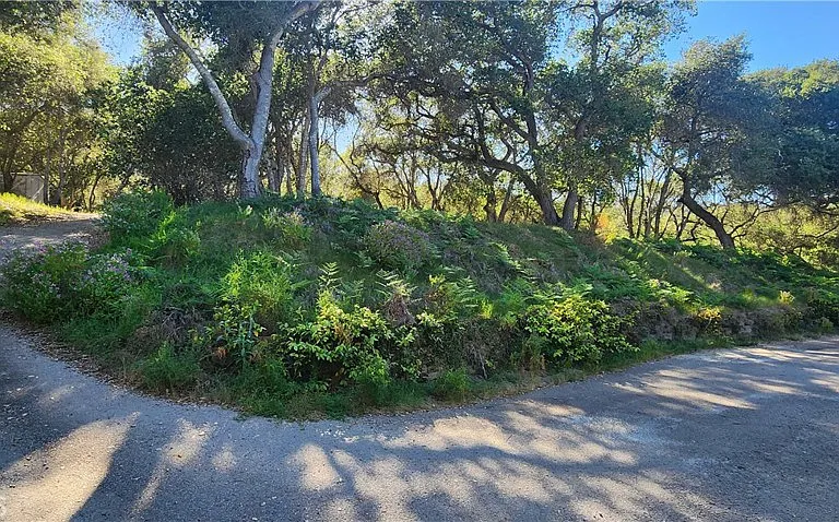 1961 Vineyard View Ln — Photo 15