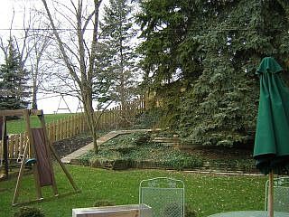 Back yard
