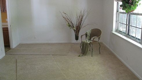 Living room, with brand new carpet
