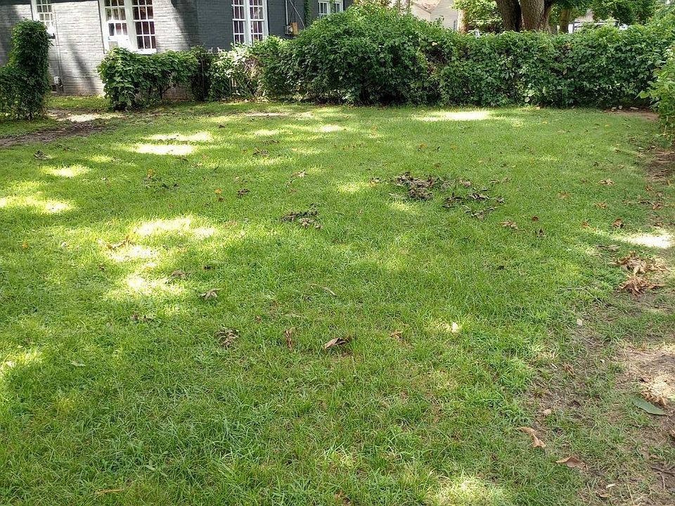 2nd image of 4716 School St