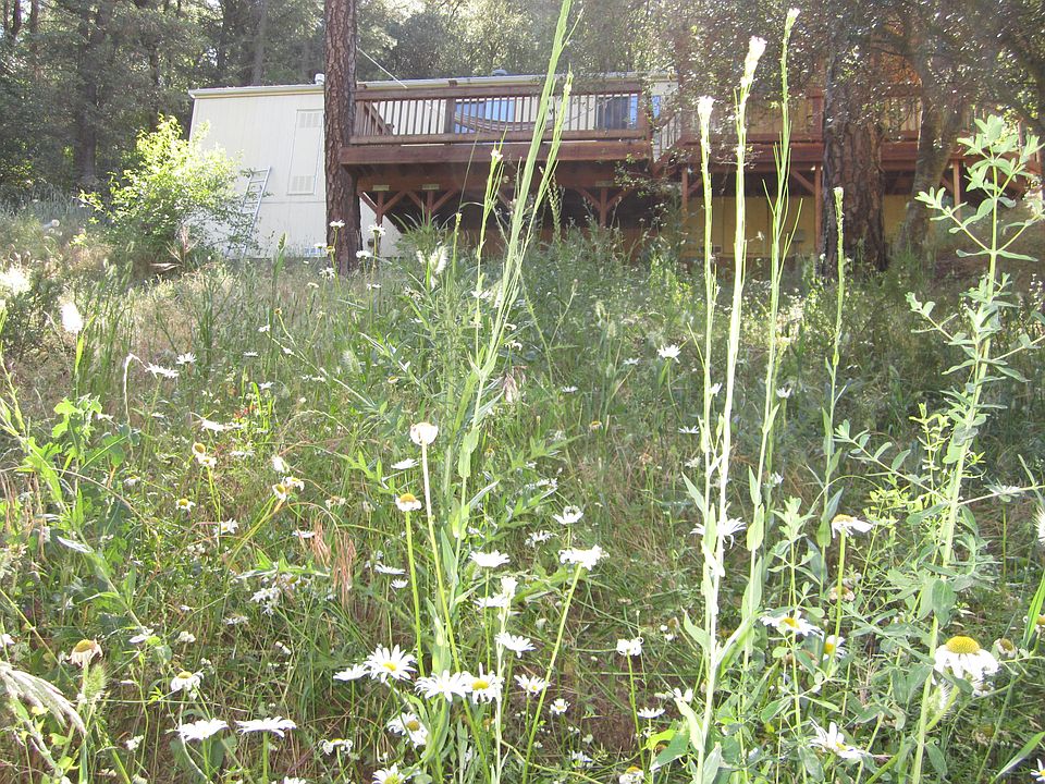 1st image of 4085 Alder Glen Way