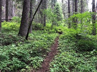 1605 Bear Trail Loop, Cascade, ID 83611