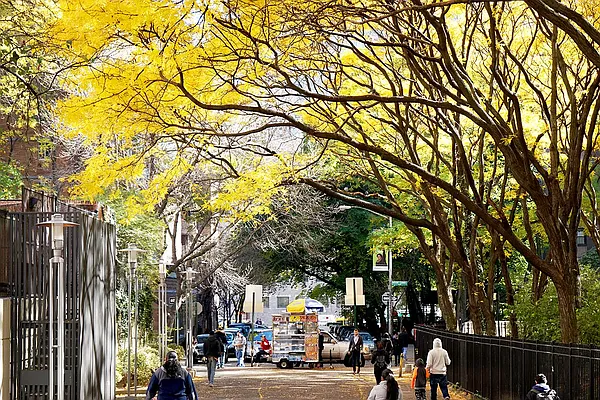 Rented by Pinnacle City Living | media 8