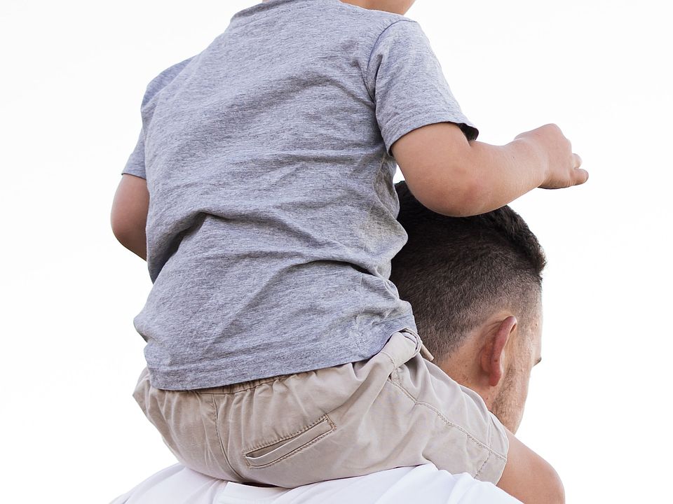 Kensington at Paramore by Bill Clark Homes in Winterville NC Zillow