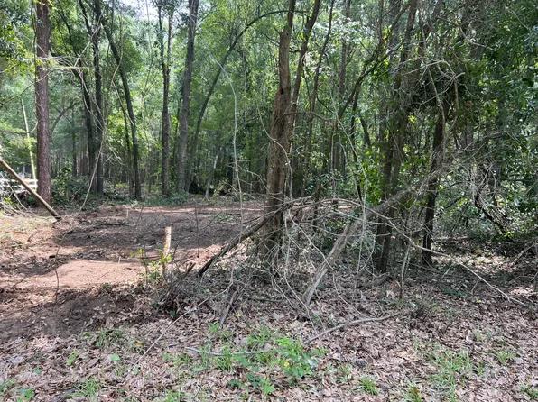 0 Princess Pond Rd, Summerton, SC 29148