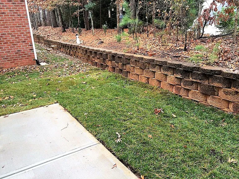 Backyard lot view