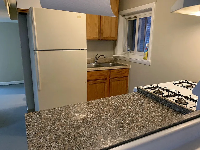 5248 W Altgeld St — Photo 26