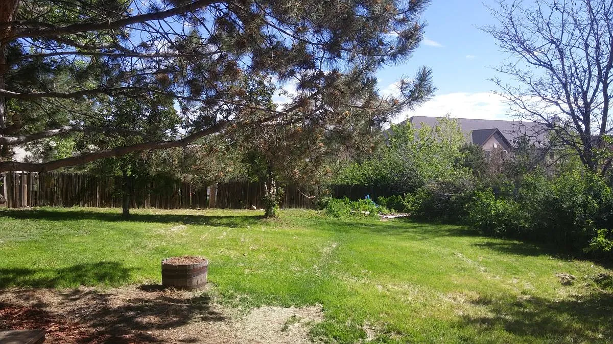 3 bed, 2.5 bath, 2025 sqft, $2,900 — Photo 4