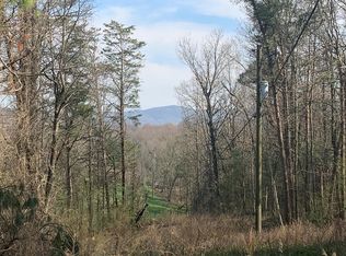 4820 Clear Creek Rd, Ellijay, GA 30536