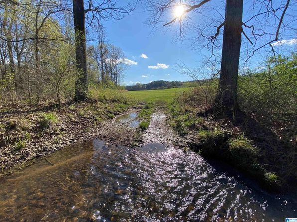 0 State Highway 174 TRACT 8, Springville, AL 35146
