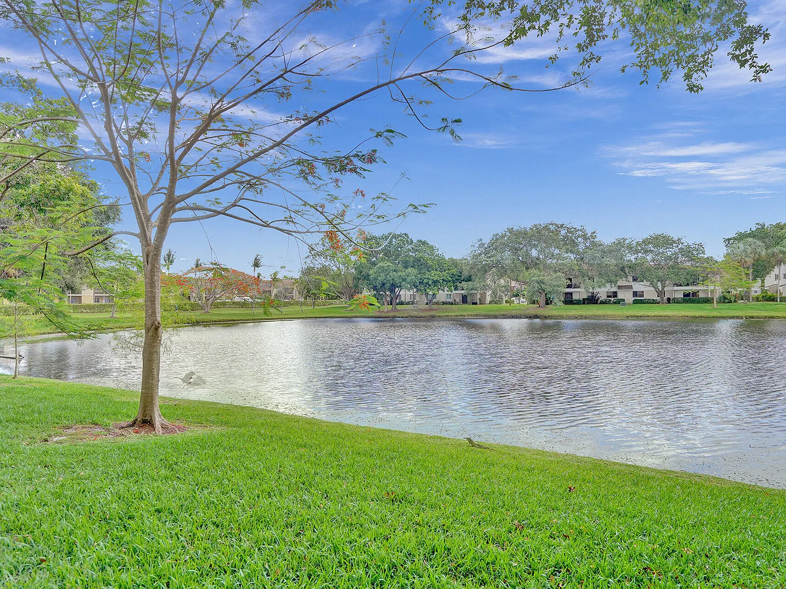 2 bed, 1.0 bath, 880 sqft, $1,770 — Photo 1