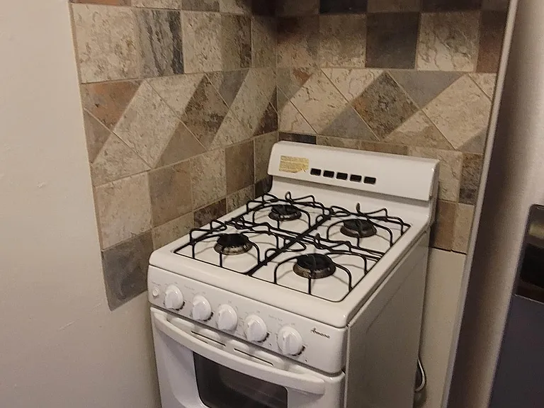 1002 E Mitchell Dr #1 — Photo 10