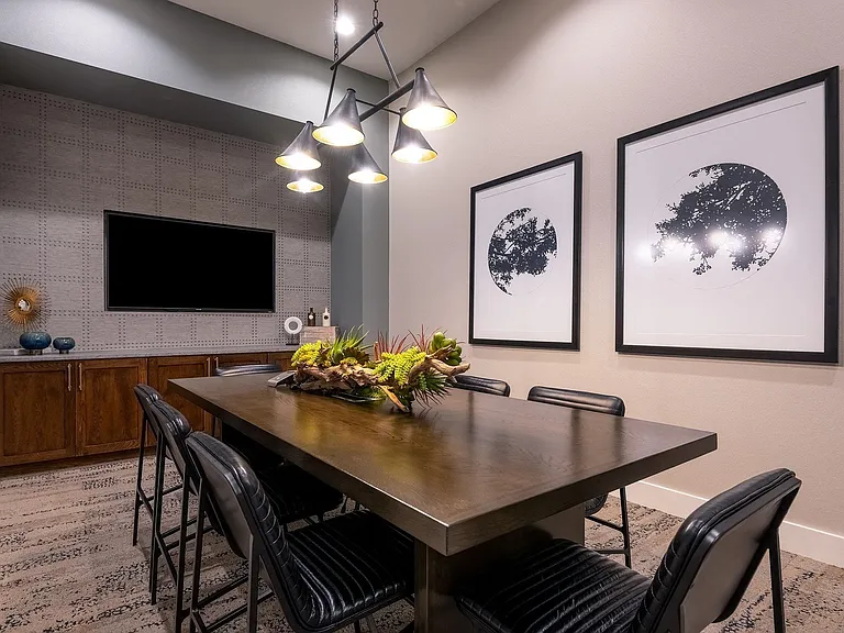 Working from home is easy in our conference room.