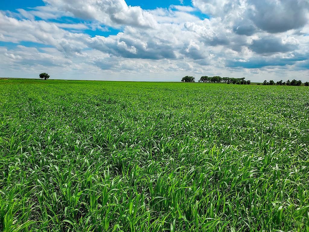 34510 County Road Kp, Cheraw, CO 81030 MLS 219149 Zillow