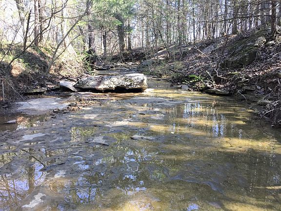 Beautifule stone bottom creek.