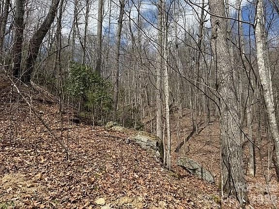 3rd image of 158 Chattooga Run #402