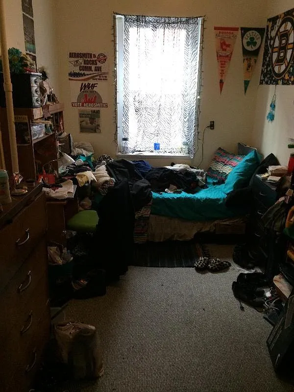 3 bed, $4,500 — Photo 4