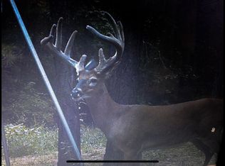 1014 Virgin Mary Rd, Camden, MS 39045