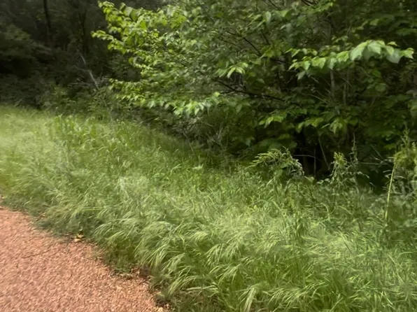 0 Cartwright, Eustace, TX 75124