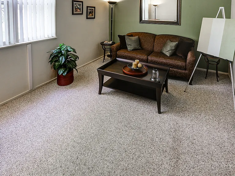 Carpeted Living Room
