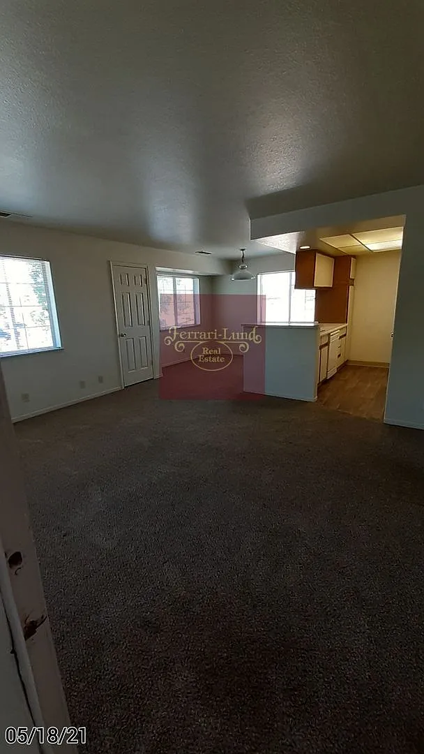 Locust 1480 — Photo 3