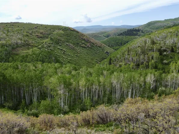 24425 Lone Tooth Trl, Oak Creek, CO 80467